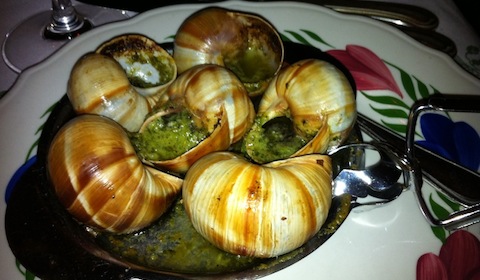 Sometimes trying foods that look inedible, like escargot, can help you find a new favorite! Photo by CreativeCommons user DionHinchCliffe.