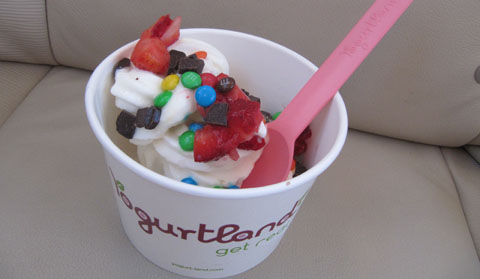 Delicious toppings for your new best friend, frozen yogurt! Photo by Haley. 
