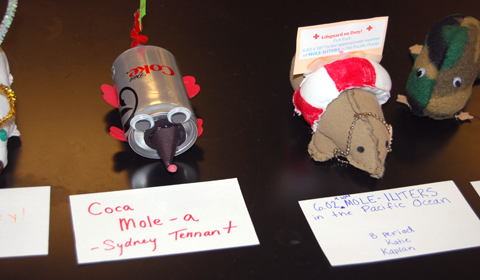 "Coca Mole-a" by Sydney '14 was voted most creative mole by the Chemistry teachers. Photo by Alex '14.