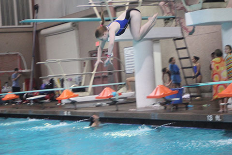 Nancy Yaeger contributing Photographer
Car Yaeger ’17 releases from a dive.