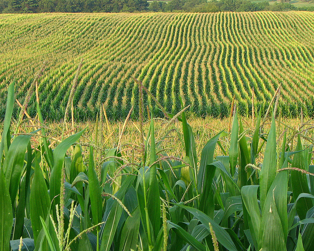 Farming just isn't what it used to be