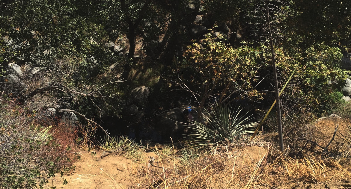 The ravine into which Amanda '18 fell. You can very faintly see her blue hat in this image. Photo courtesy of Khloe '18.