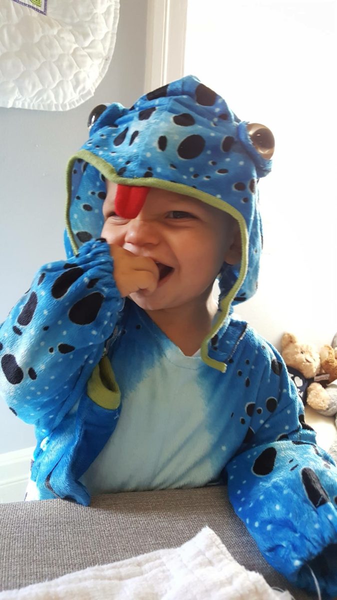 Math instructor Amanda Kissinger’s son Miles age one,  dressed as a tree frog for Halloween. 