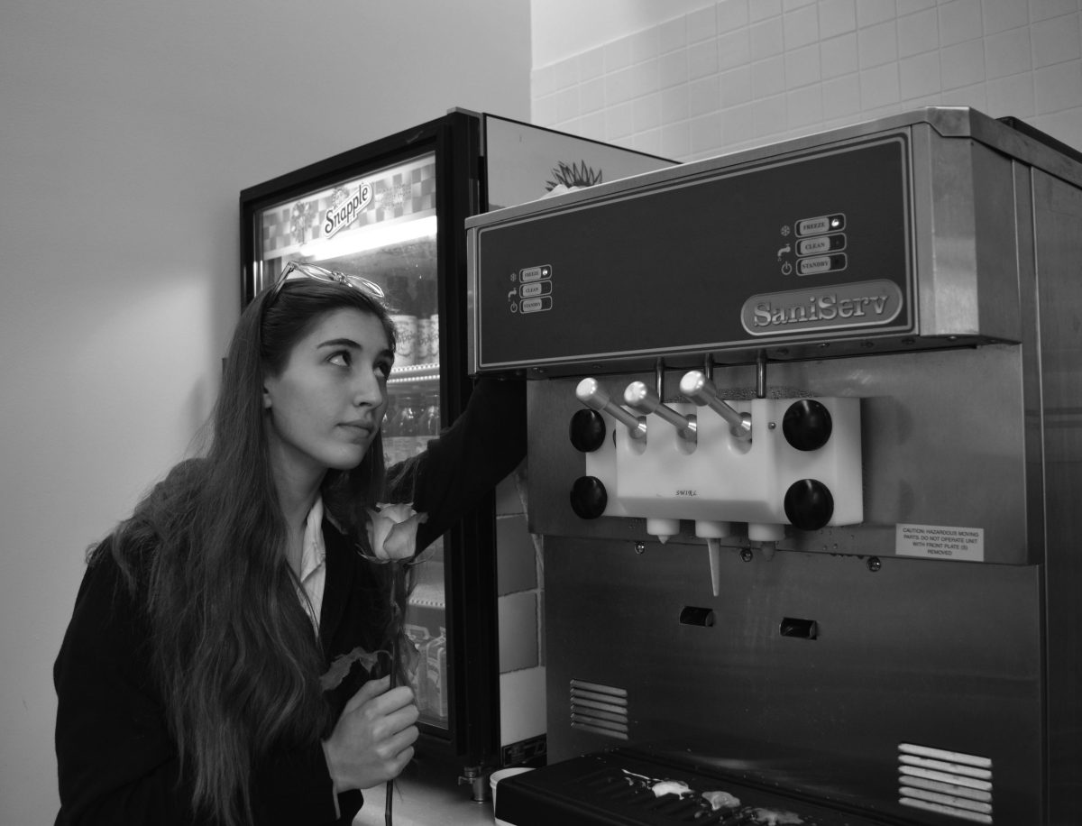 Lulu’s Lemonade: A love letter to  Marlborough’s new frozen yogurt machine