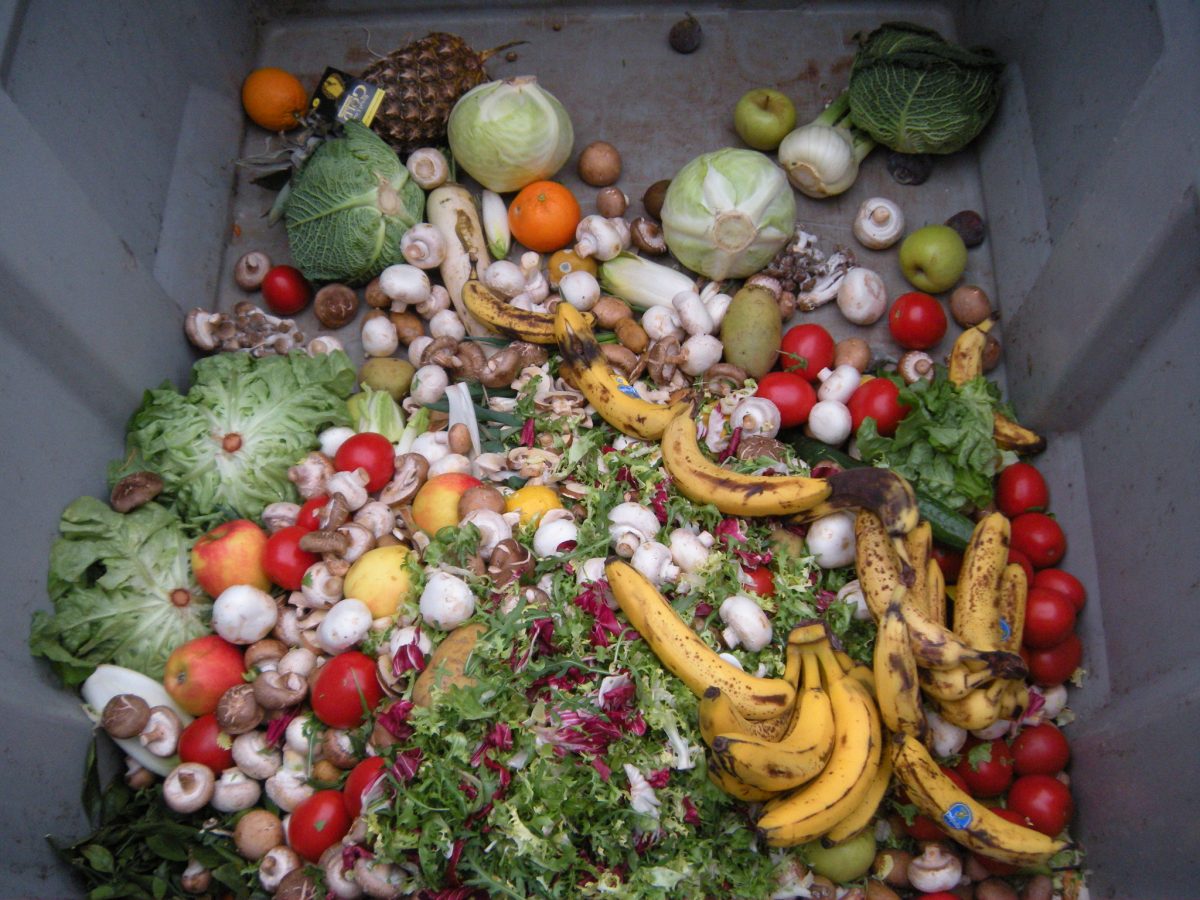 Food waste, courtesy of Wikipedia