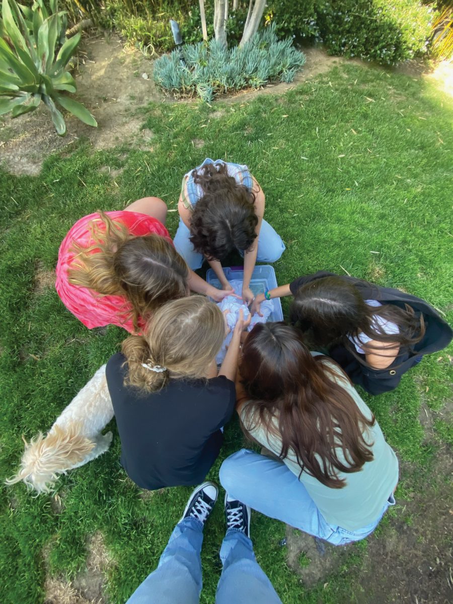 Marlborough students create a memory and tie-dye t-shirts over Spring Break. Photo by Paige Garza ‘22.