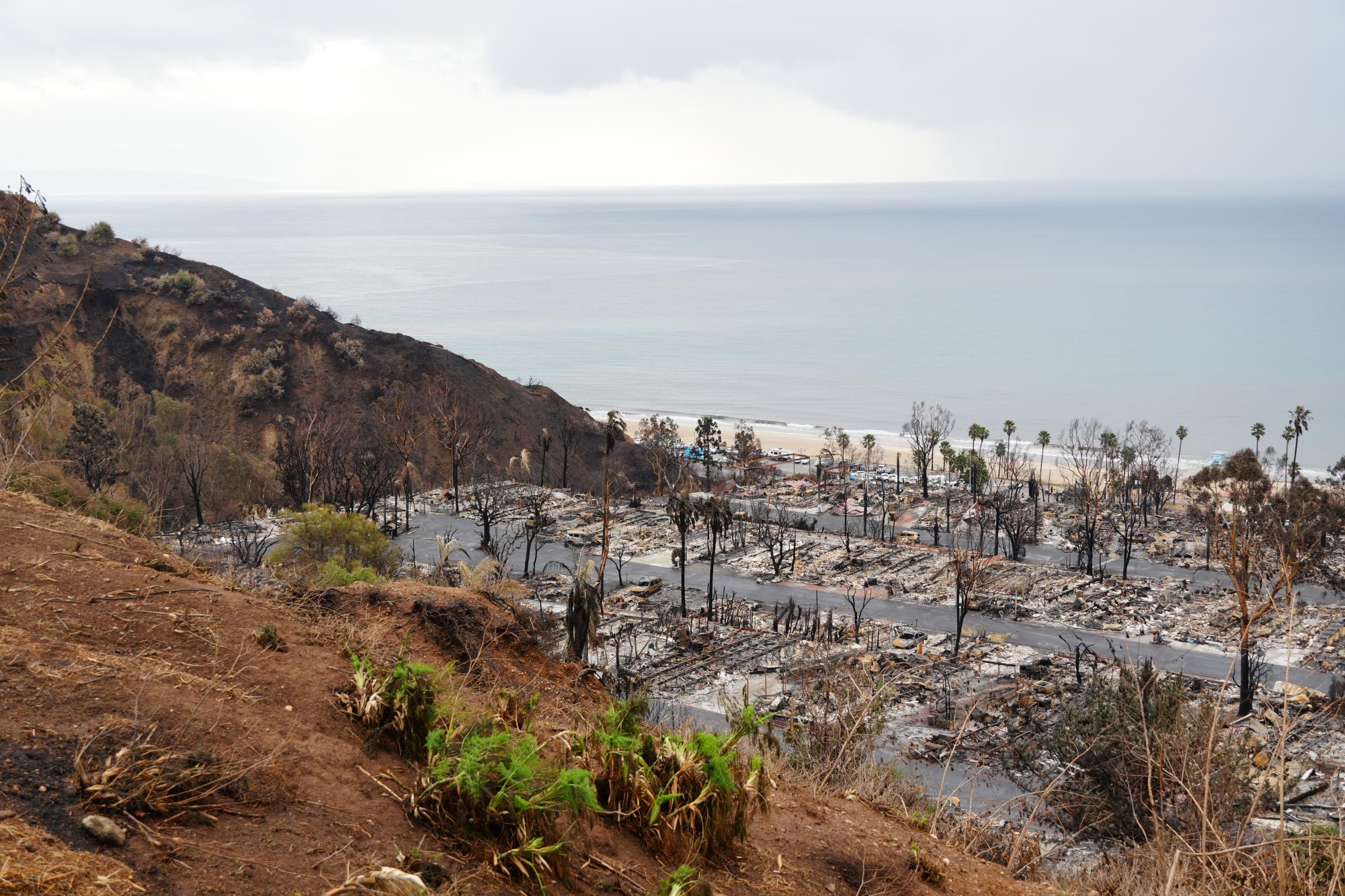 View from The Point at the Bluffs overlooking Will Rogers State Beach and a burned down neighborhood.