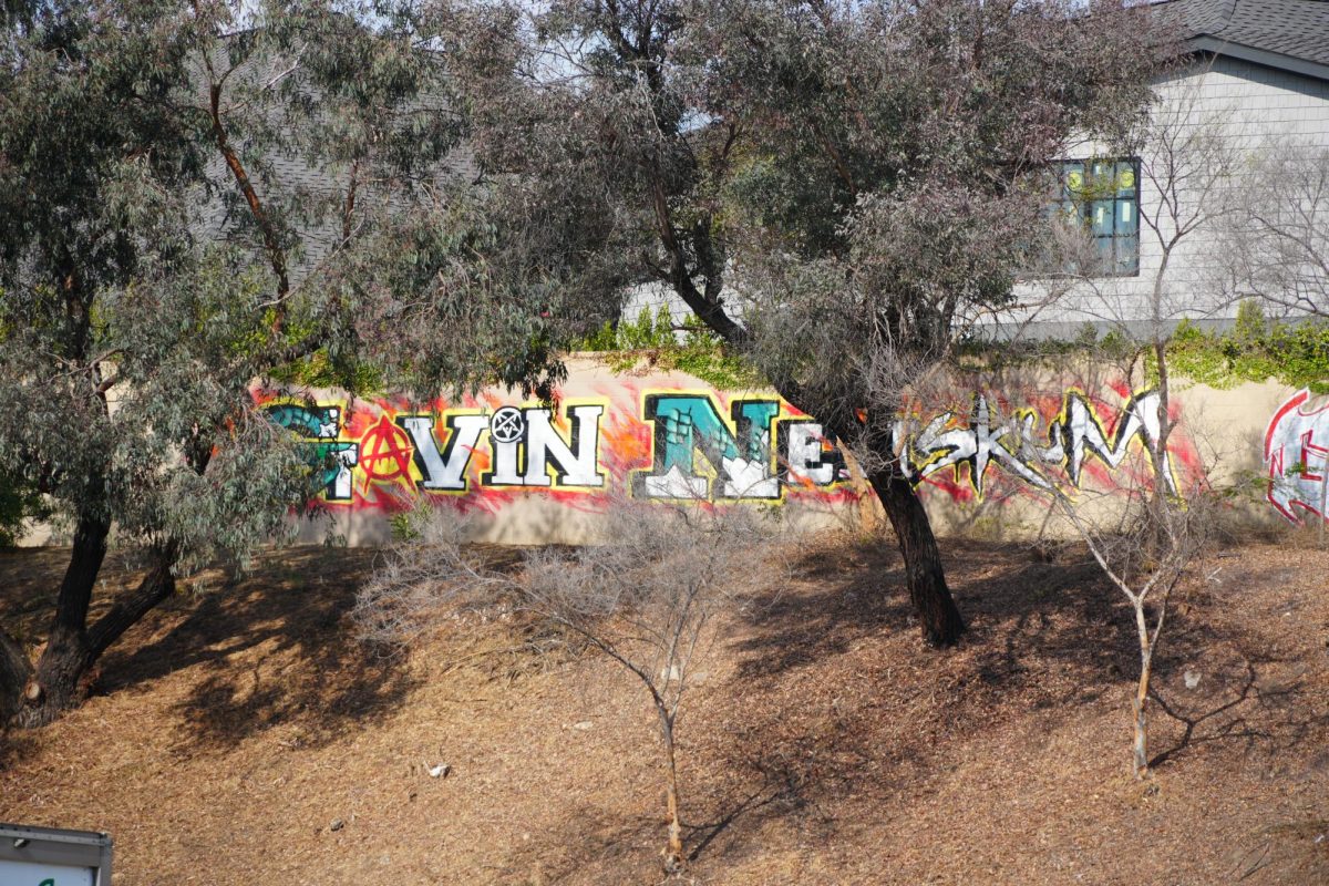 Graffiti that reads "Gavin Newskum" on the I-10 near the Crenshaw exit.